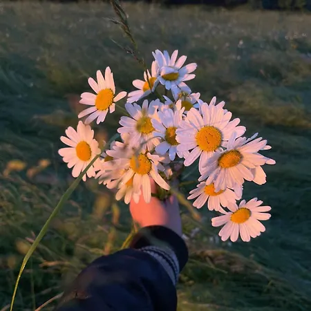 U Studánky * Velké Karlovice