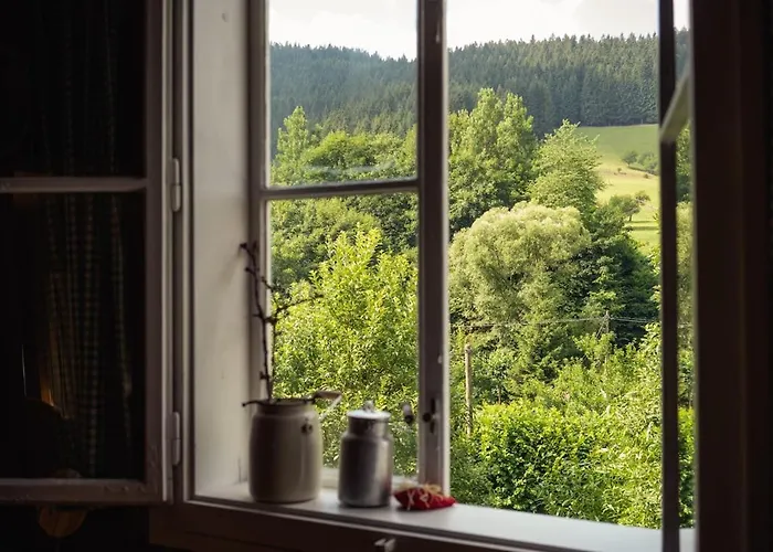 U Studánky Chalé *